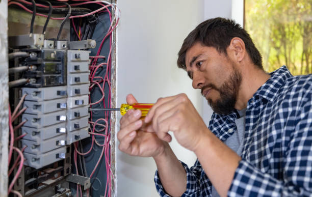 Best Electric Panel Repair  in Duson, LA